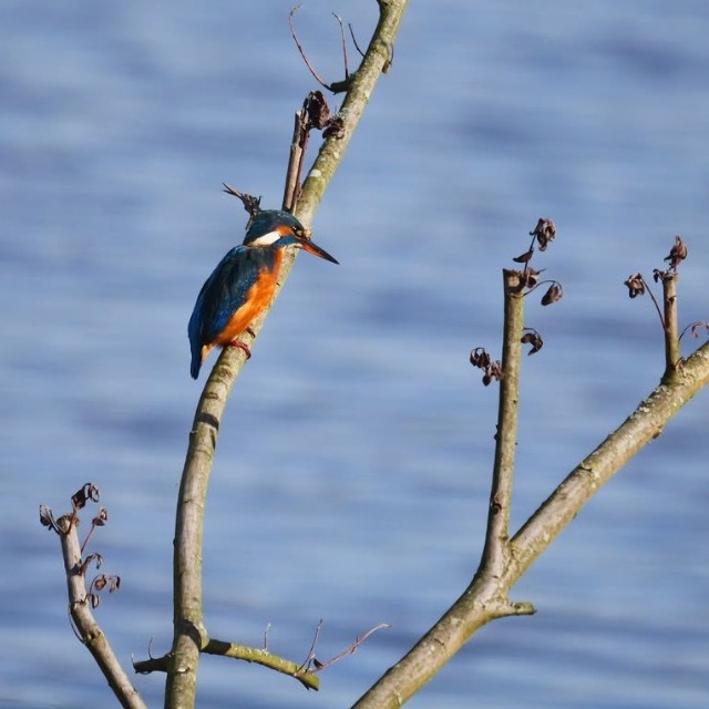 frendly top 10 - image 1