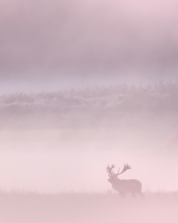 frendly top 10 - image 0