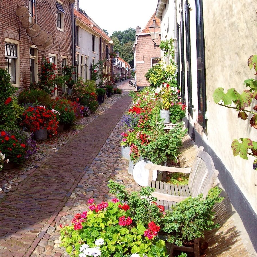 frendly top 10 - logo