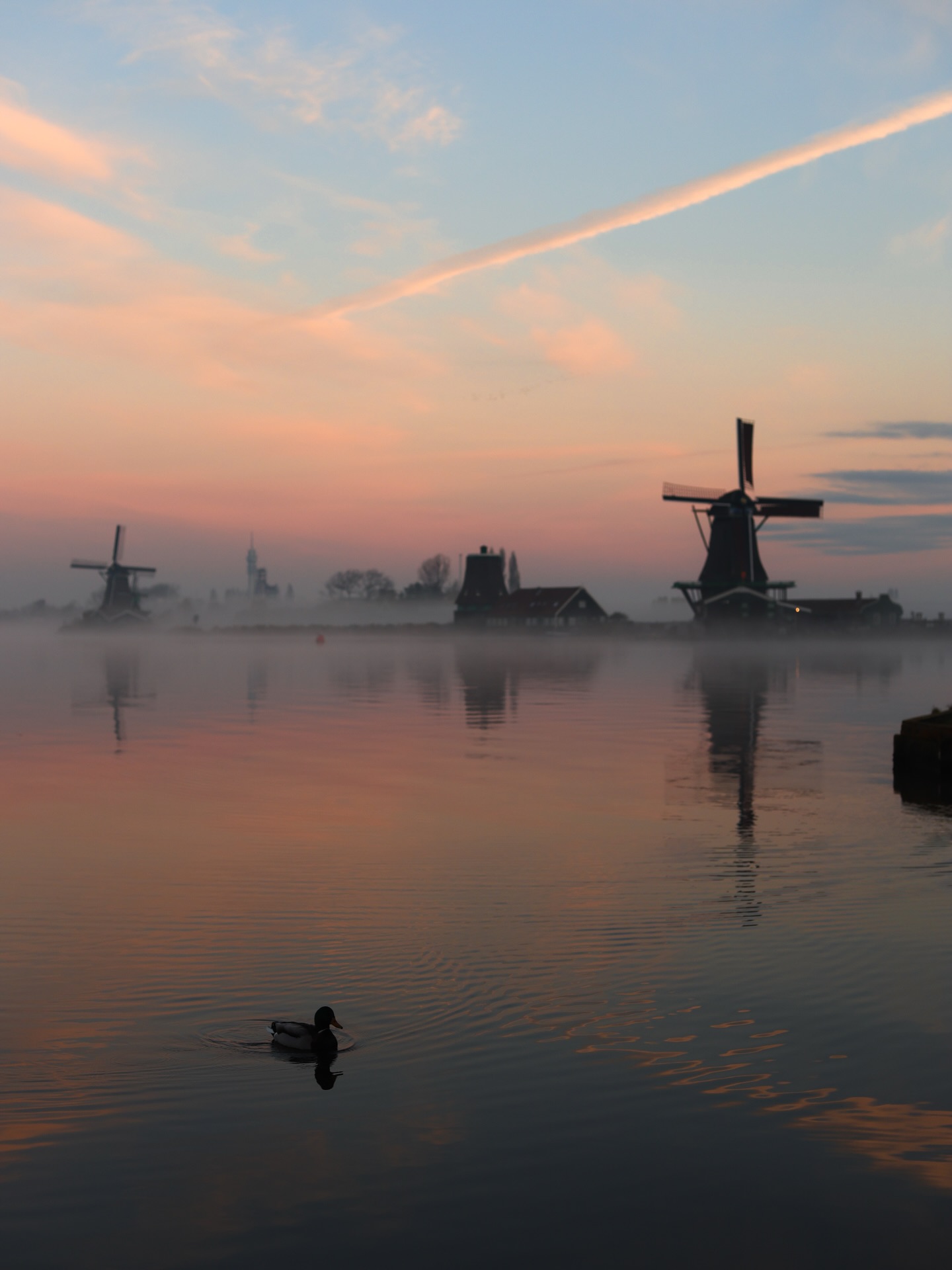 frendly top 10 - image