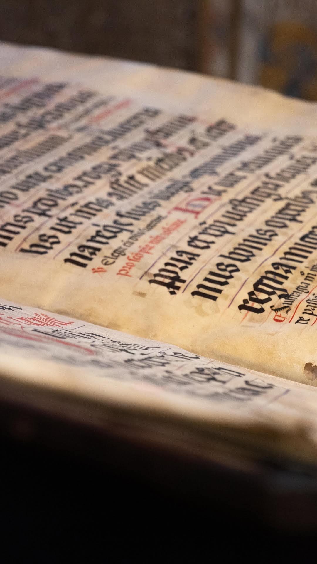 frendly top 10 - image 2