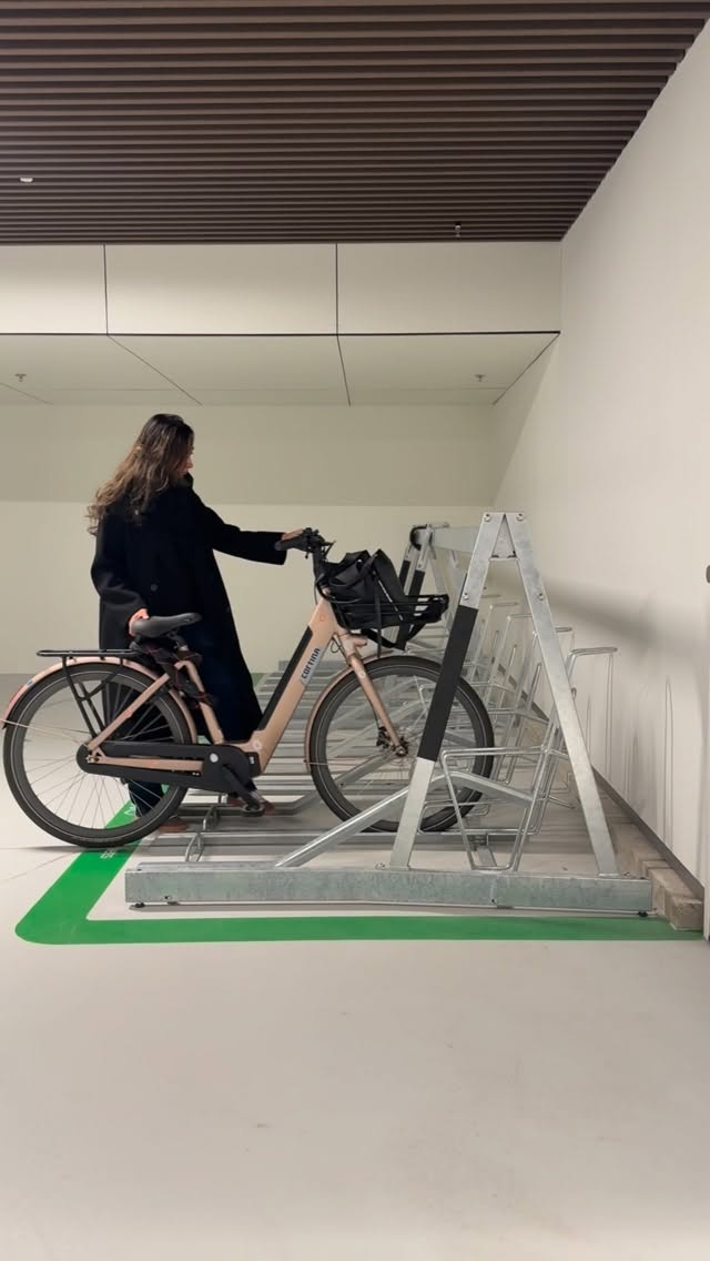 frendly top 10 - image 2